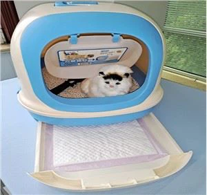 ایمیزون کیٹ پیڈ، ڈسپوزایبل کیٹ لیٹر پیڈ