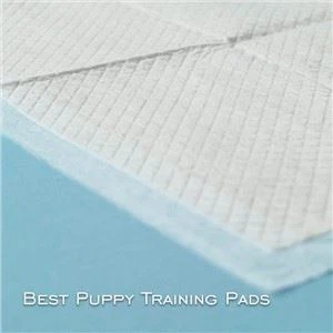 پالتو جانوروں اور کتے کے تربیتی پیڈ؛ موٹا اور بڑا