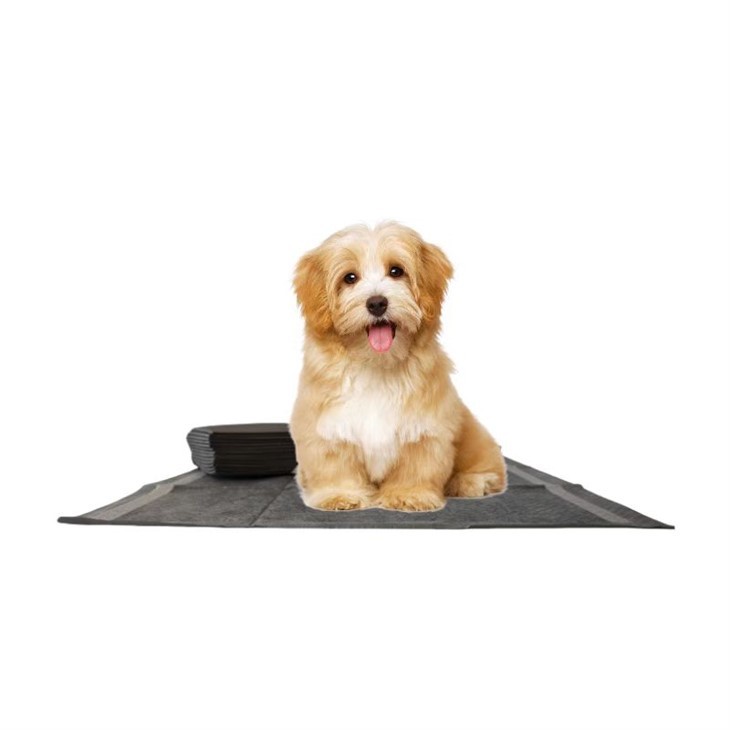 2000ml جذب ڈسپوزایبل بانس چارکول پالتو پاٹی پیڈ