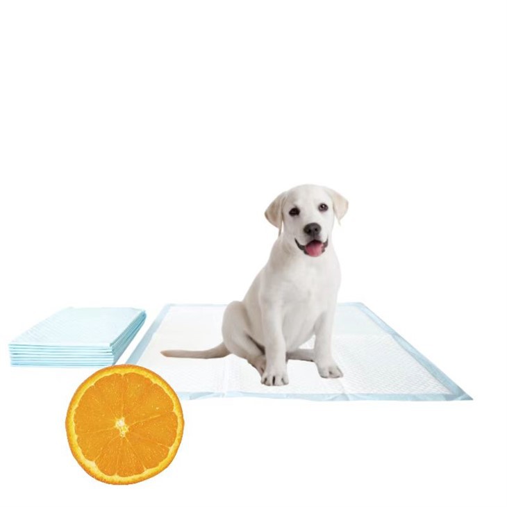 ڈسپوزایبل ضروری تیل پپی پیڈ