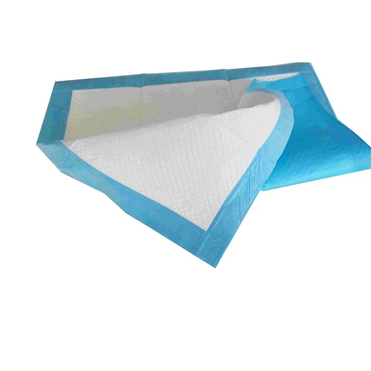 Tianjin Yiyi Disposable Silver Ion Antibacterial Dog Pee Pad For Pet Hospitals